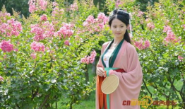 掉麻豆,揭秘神秘现象背后的秘密